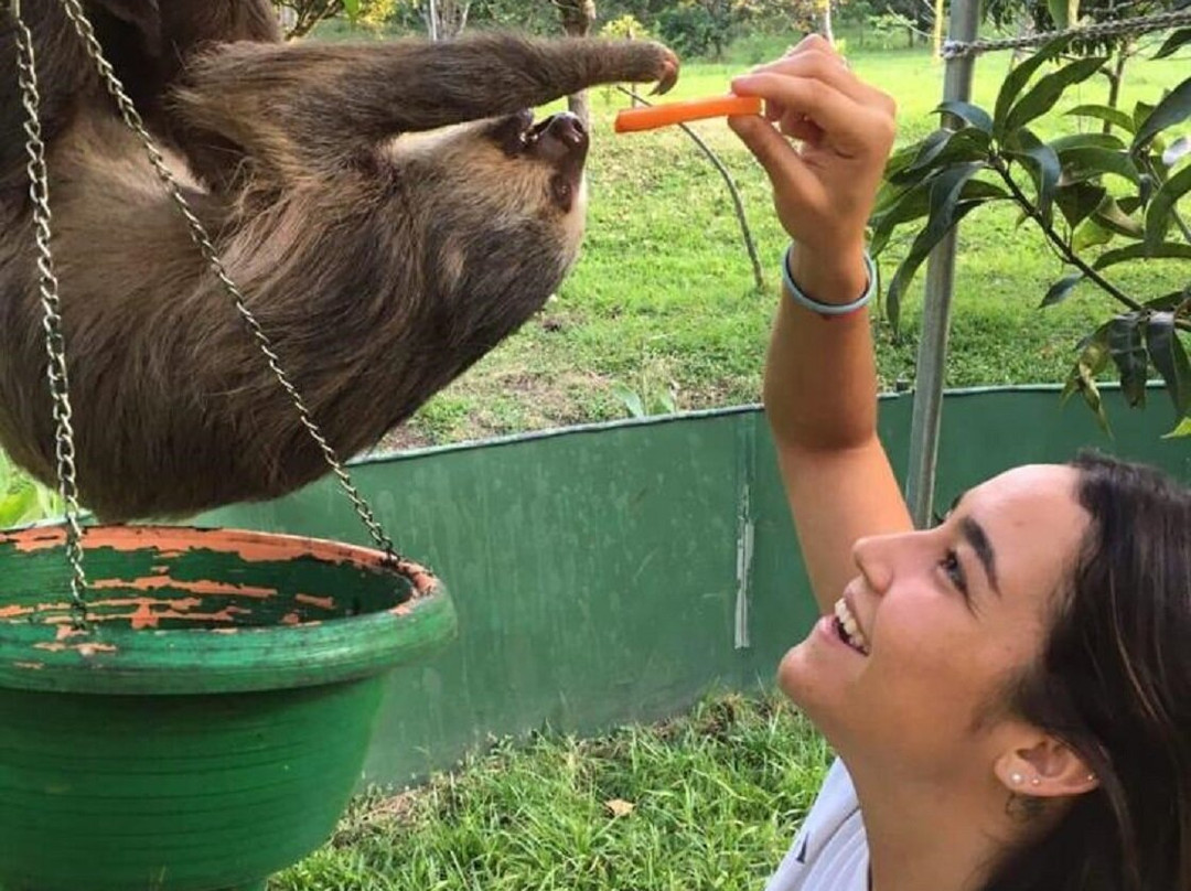 Turrucares旅游攻略图片