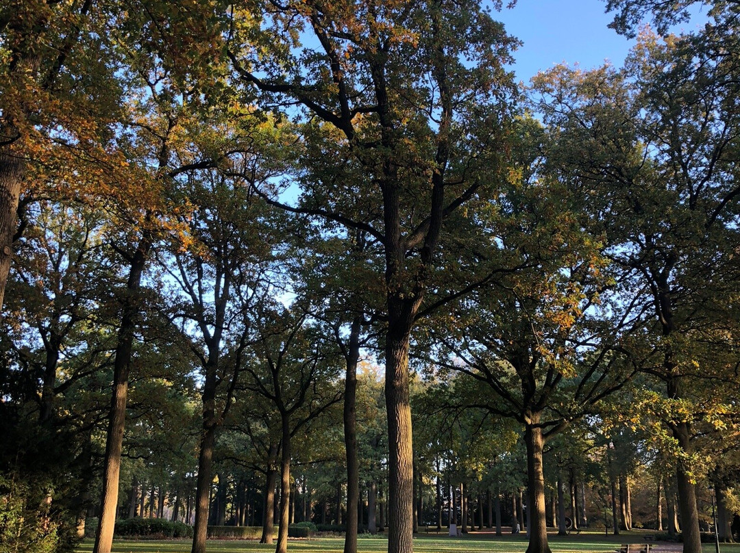 Stadswandelpark-埃因霍温必去景点