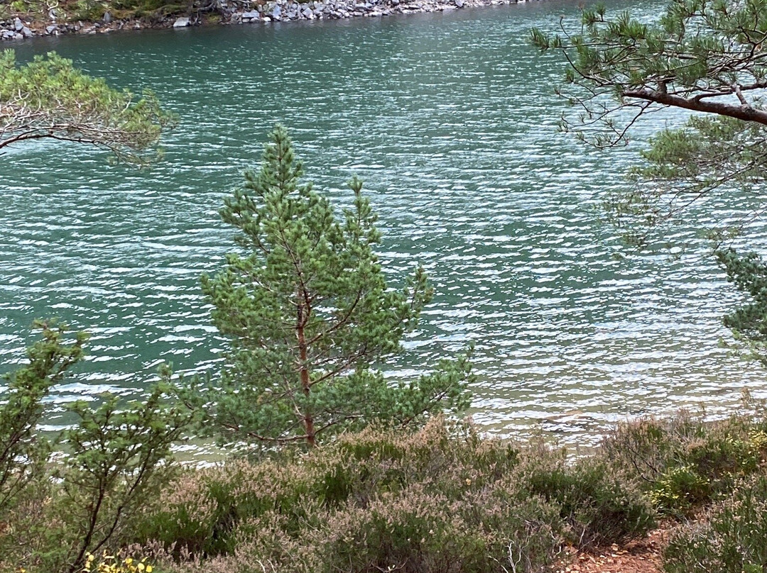 An Lochan Uaine (Green Loch)景点图片