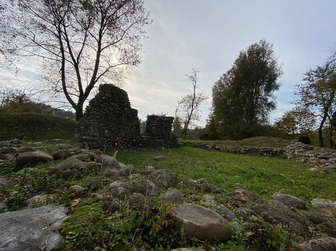 Parco Archeologico di Castelseprio景点图片