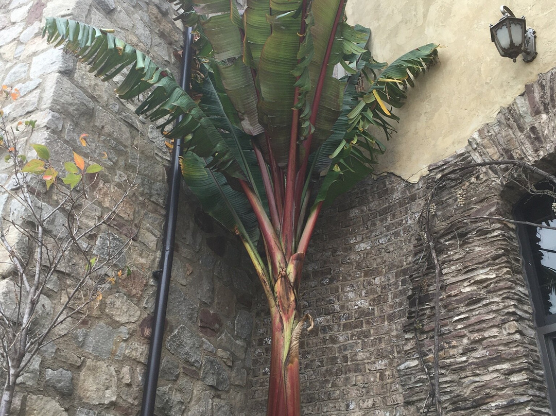 Colaneri Estate Winery-滨湖尼亚加拉必去景点