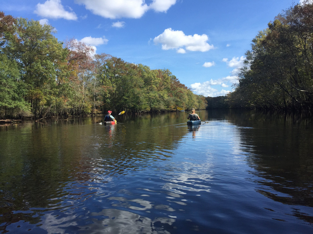 Captain Charles Robbins' Cape Fear River Adventures景点图片