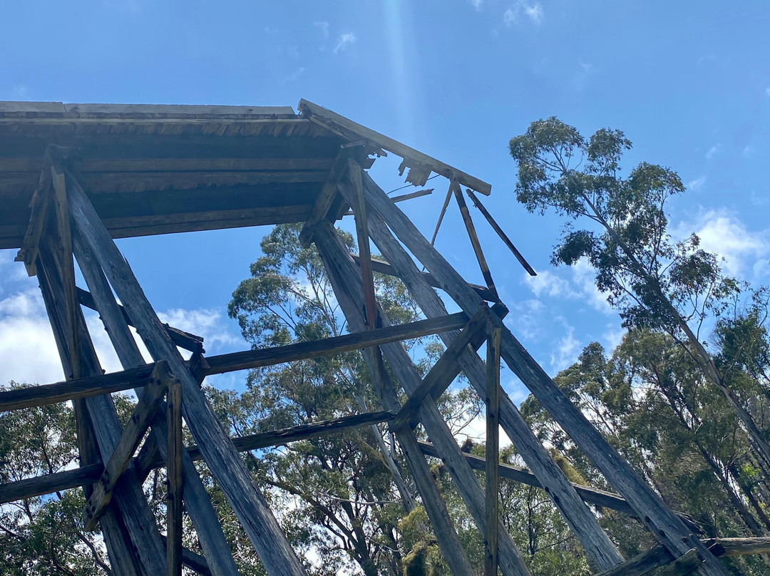 Wairewa Trestle Rail Bridge-Nowa Nowa必去景点