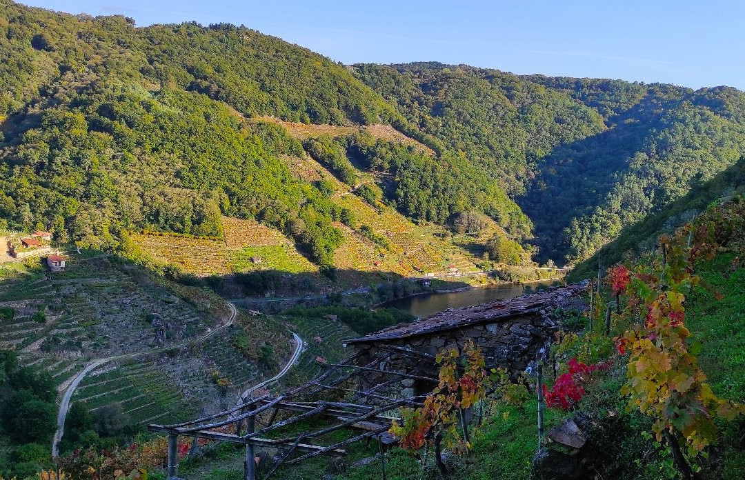 Vilela旅游攻略图片