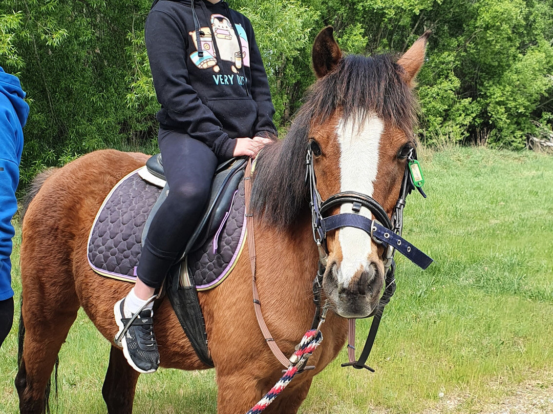 Waimak River Riding Centre Limited-基督城必去景点