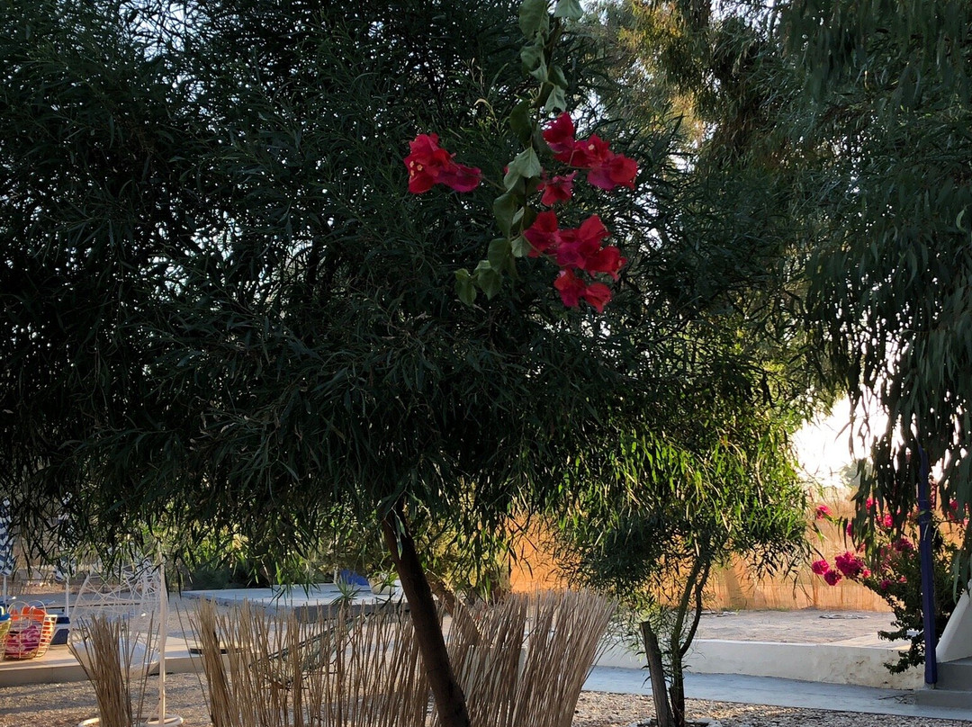 Thalasea Kimolos主图