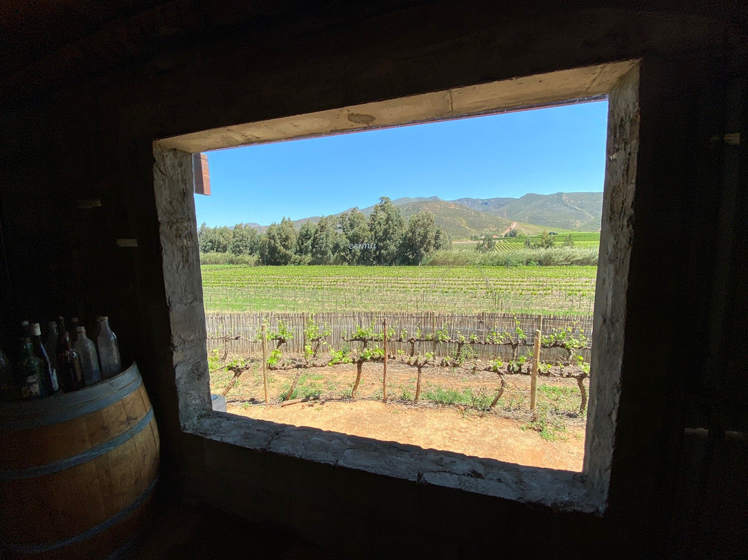 Esona Boutique Wine Estate-Robertson必去景点