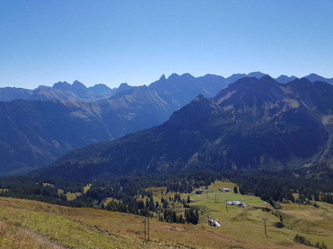 Fellhorn / Kanzelwandbahn景点图片