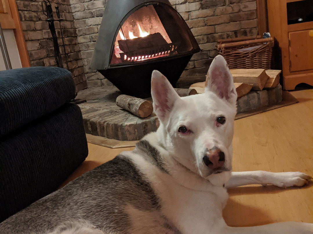 Blue Vista Resort主图