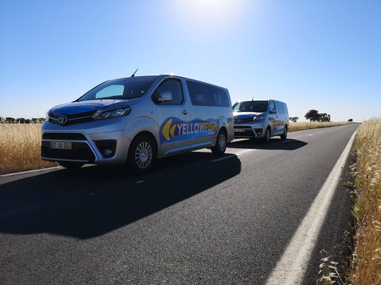 Yellowfish Transfers-法罗必去景点