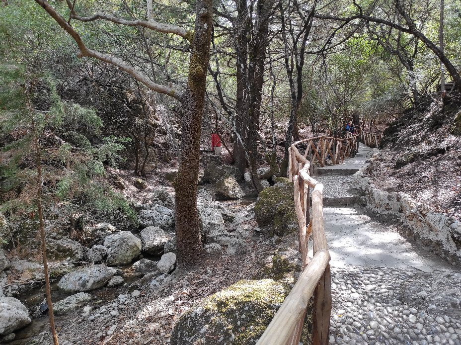 Butterfly Valley and Boat Cruise to the Island of Chalki-罗德斯必去景点