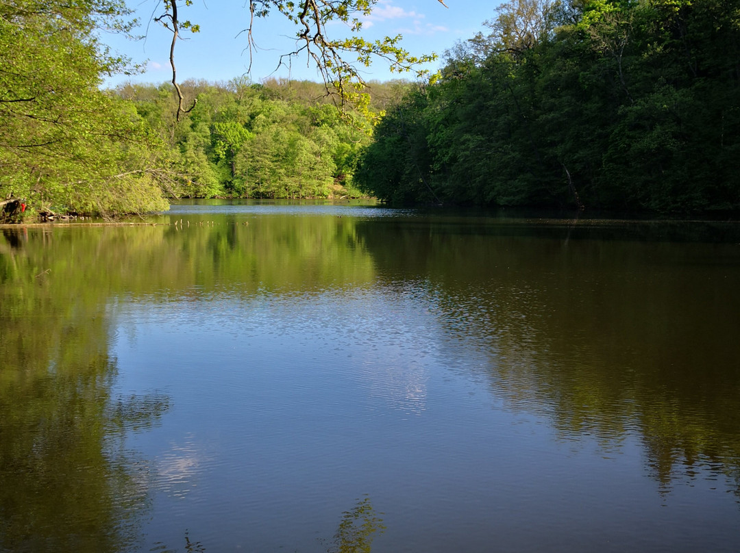 Neskuchnoye Landscape Park-Trostyanets必去景点