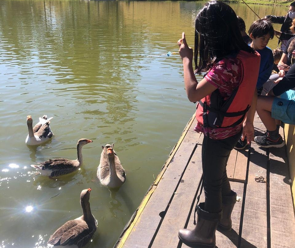 Hotel Fazenda Vale Da Mantiqueira主图