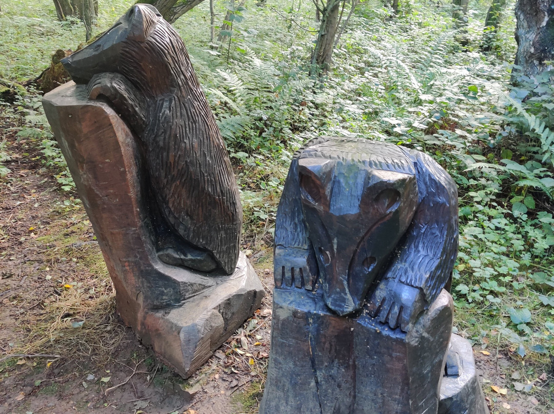 Flatts Lane Woodland Country Park-米德尔斯堡必去景点