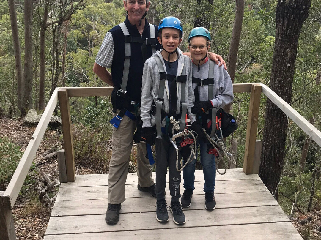 Treetop Challenge - Canyon Flyer景点图片