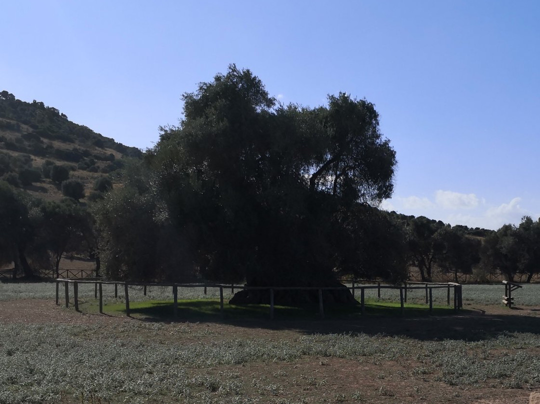 S'Ortu Mannu-Villamassargia必去景点