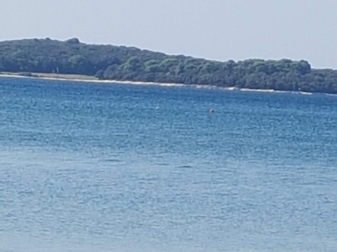 Fazana Beach景点图片