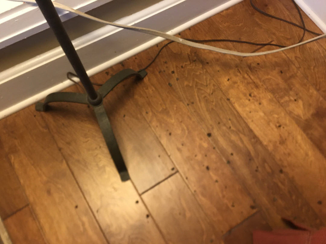 Campbell House主图