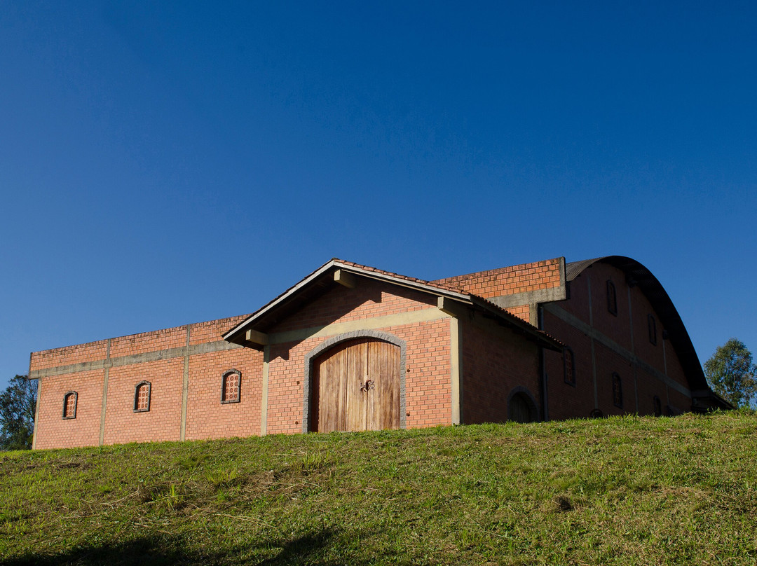 Vinícola Santa Barbara景点图片