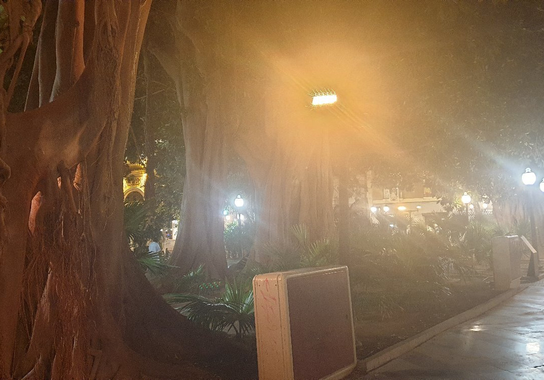 Plaça De Gabriel Miró景点图片