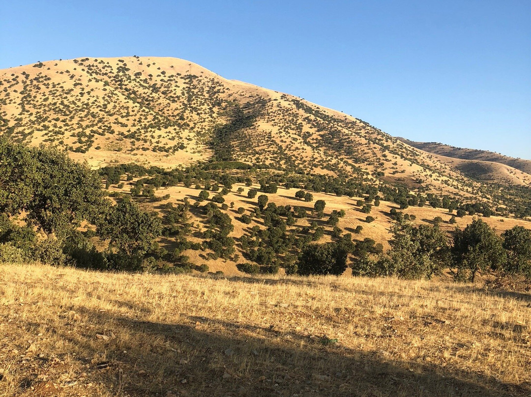 Goizha And Azmar Mountains-苏莱曼尼亚必去景点