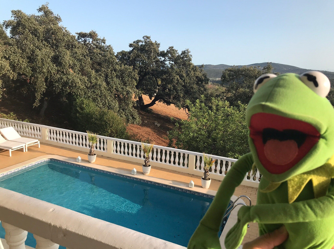 Panoramic Paradise主图