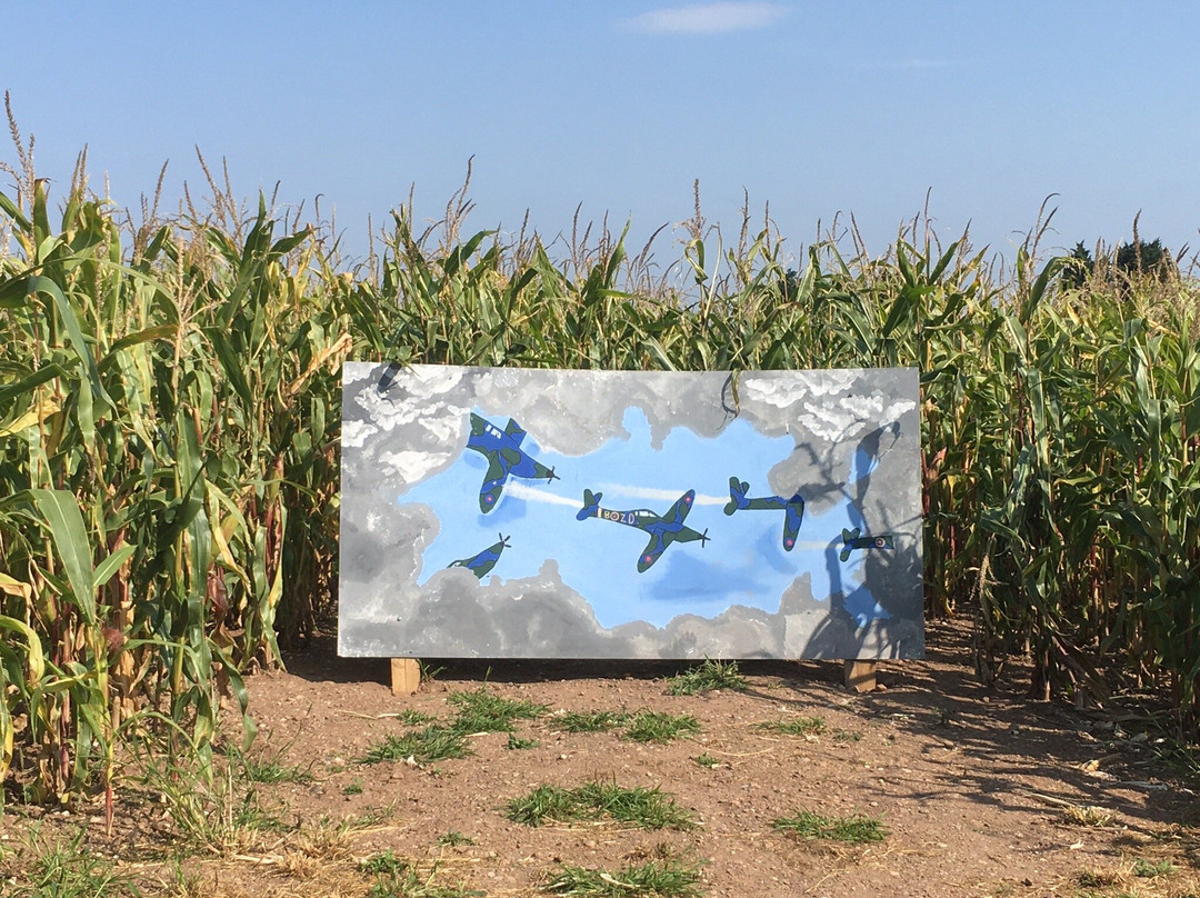 The Great Worcester Maize Maze景点图片