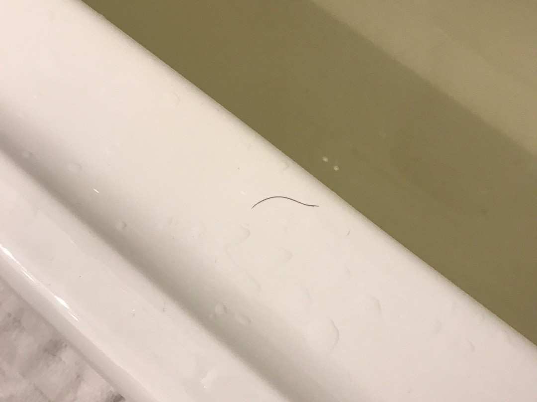 Travelodge By Wyndham Rigaud主图