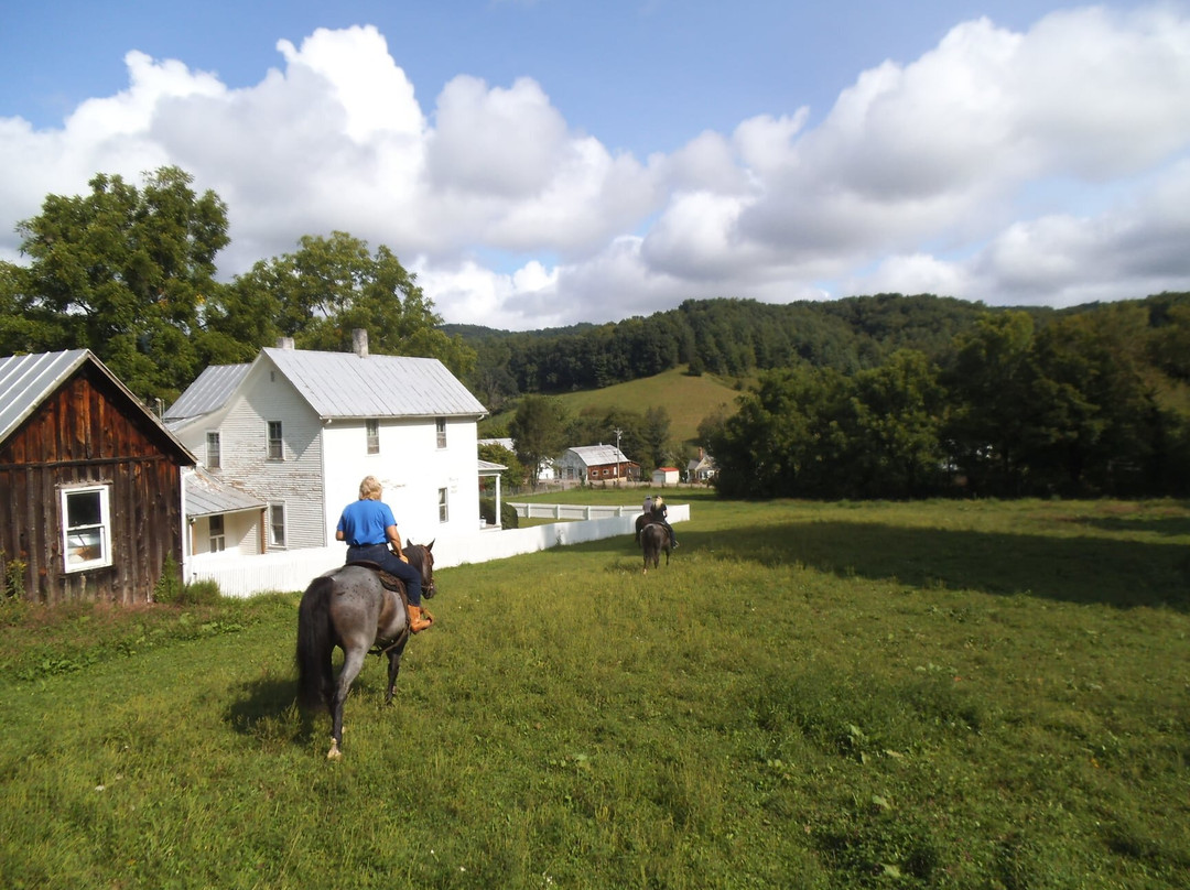 Roan Mountain Riding Company-Roan Mountain必去景点