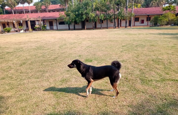 El Pantanal Hotel Resort主图