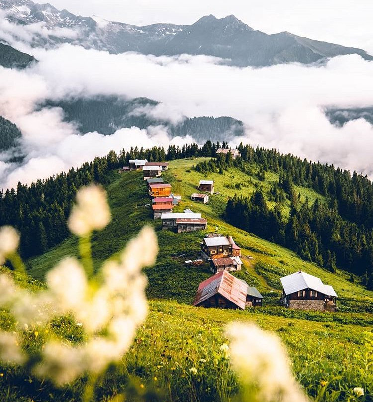 Pokut Yaylası景点图片