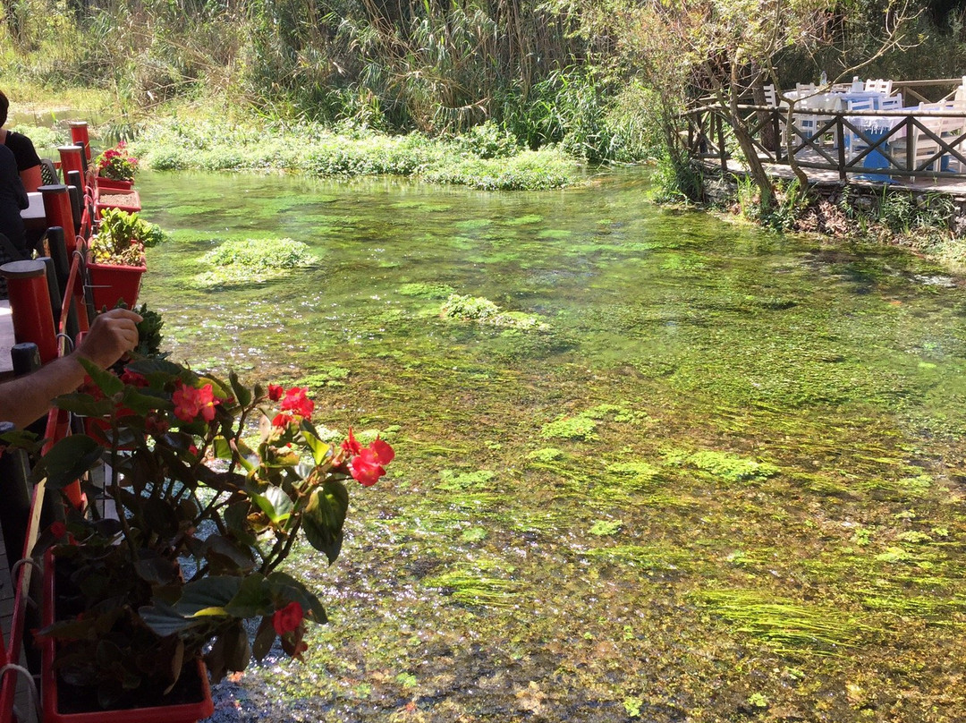Akyaka River Romp景点图片