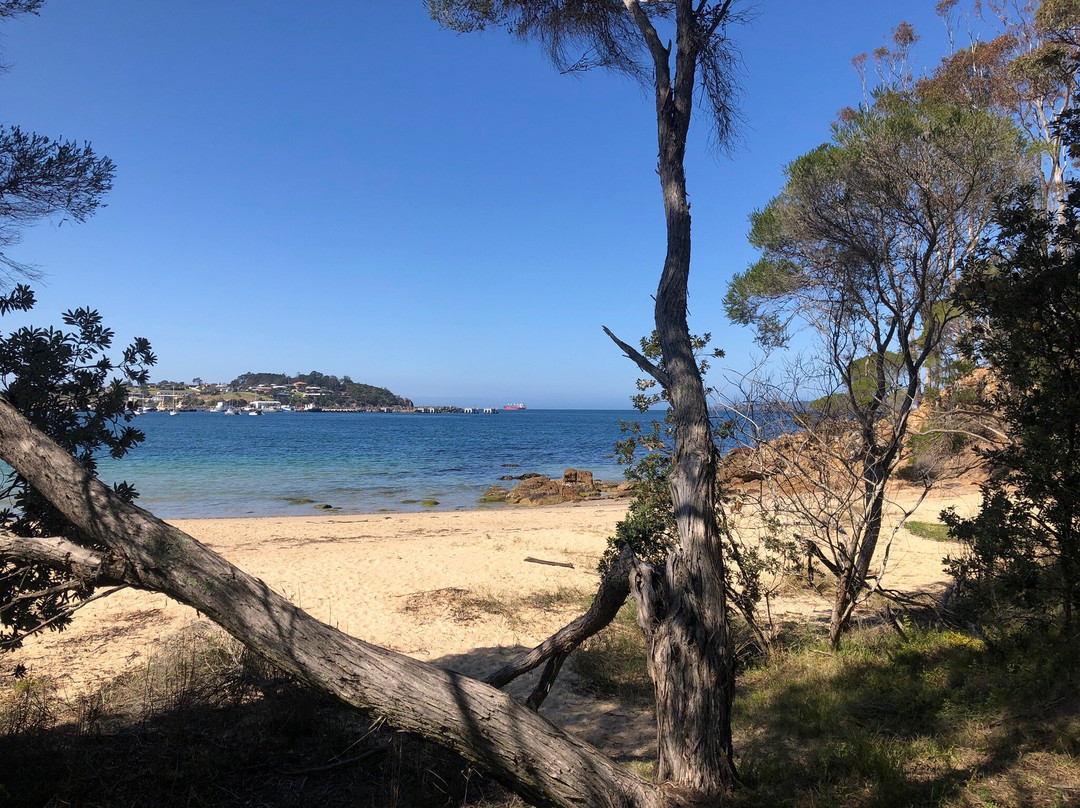 Bundian Way Story Trail-伊登港必去景点