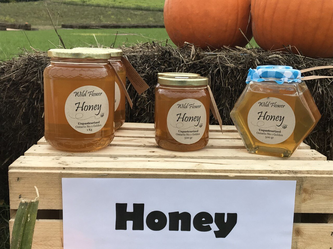 Sunderland旅游攻略图片