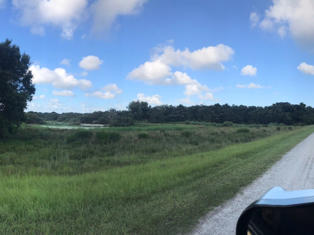 Harris Neck National Wildlife Refuge-萨凡纳必去景点