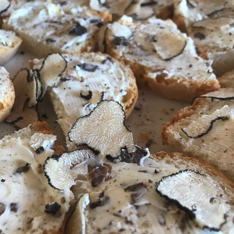Truffle Hunting in Tuscany景点图片