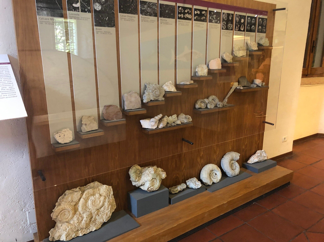 Museo Speleo Paleontologico e Archeologico景点图片