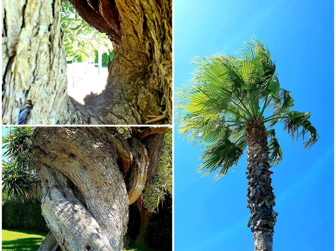 Masseria Giamarra主图