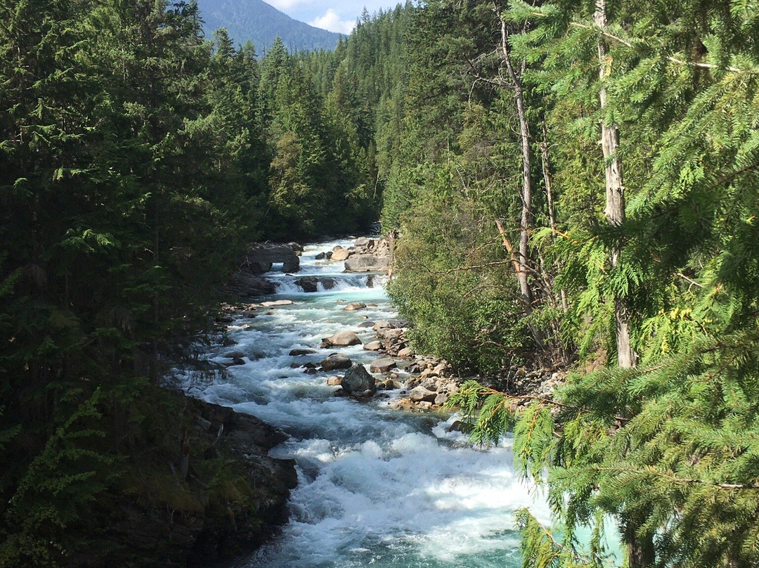 Kaslo River Trail景点图片