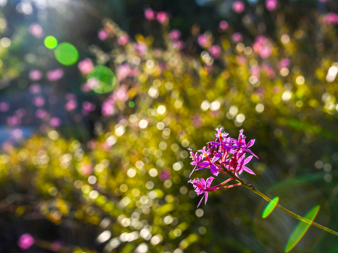 Ninderry Manor Luxury Retreat主图