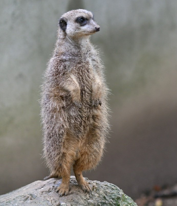 Vogelpark Turnersee-Sankt Primus必去景点