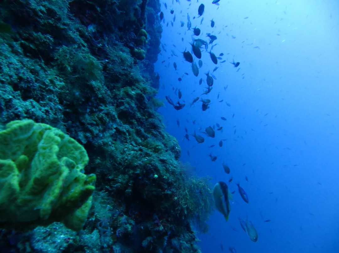 Kerveli Dive Center - Samos景点图片