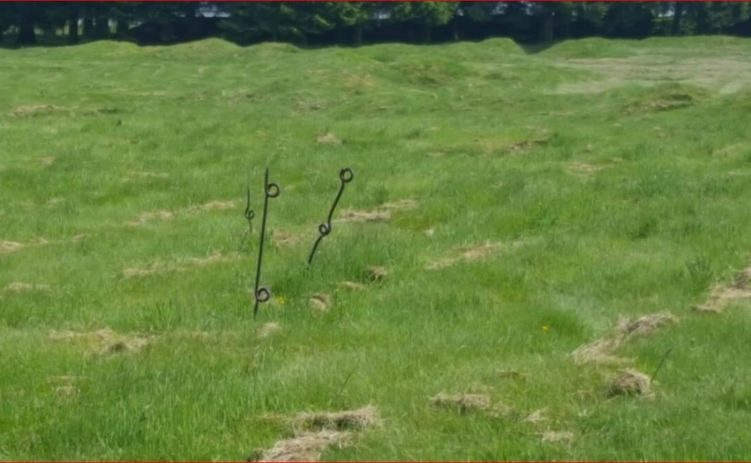Mémorial Terre-neuvien De Beaumont-hamel-Beaumont-Hamel必去景点