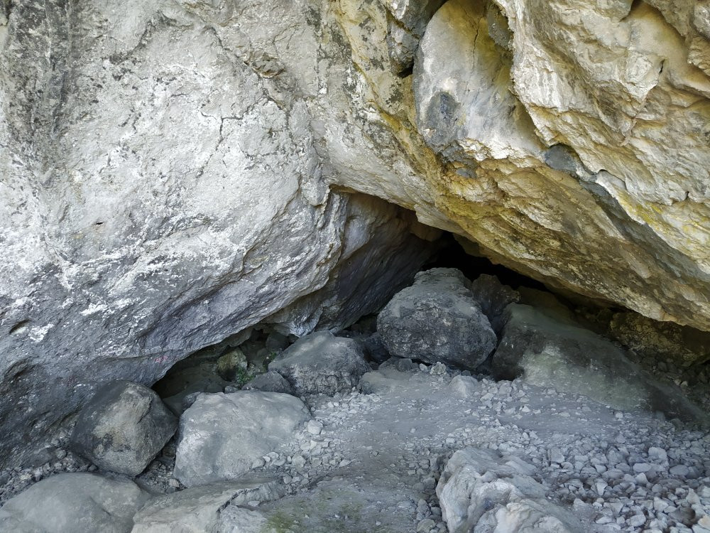 Grotte de Niaux-Niaux必去景点