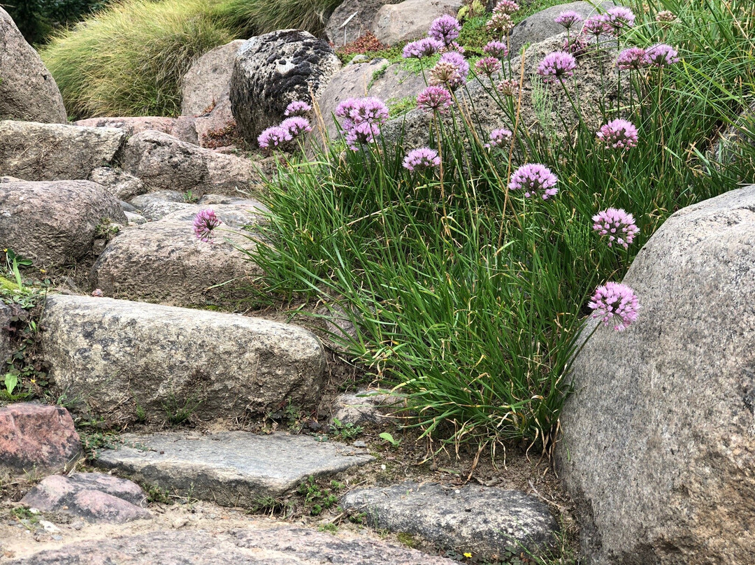 Botanischer Garten景点图片