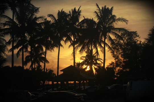 Jetty Park-匹尔斯堡必去景点