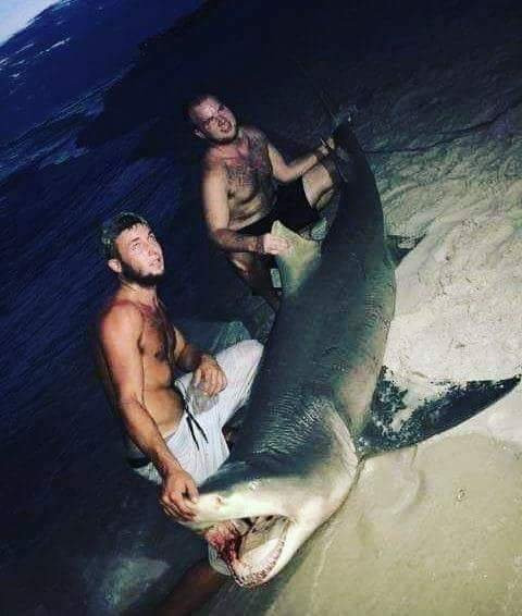 Off The Beach Shark Fishing Day Trips景点图片