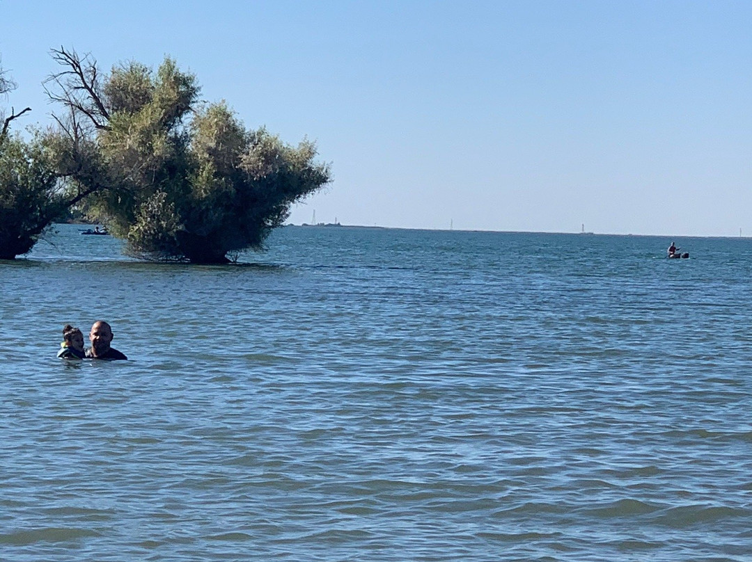 Woodward Reservoir-奥克戴尔必去景点