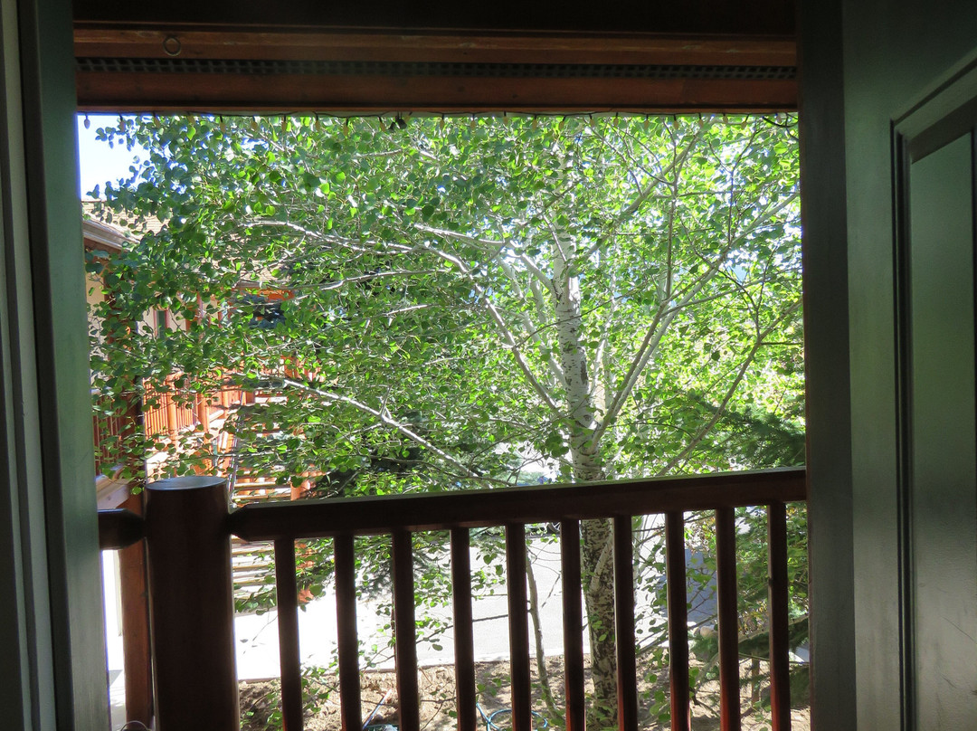 Teton Valley Motel主图