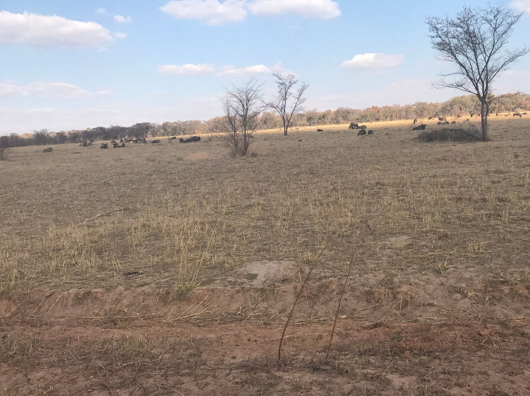 null-Entabeni Game Reserve